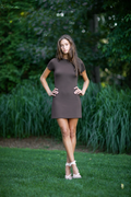Allure Mini Dress Solid Brown