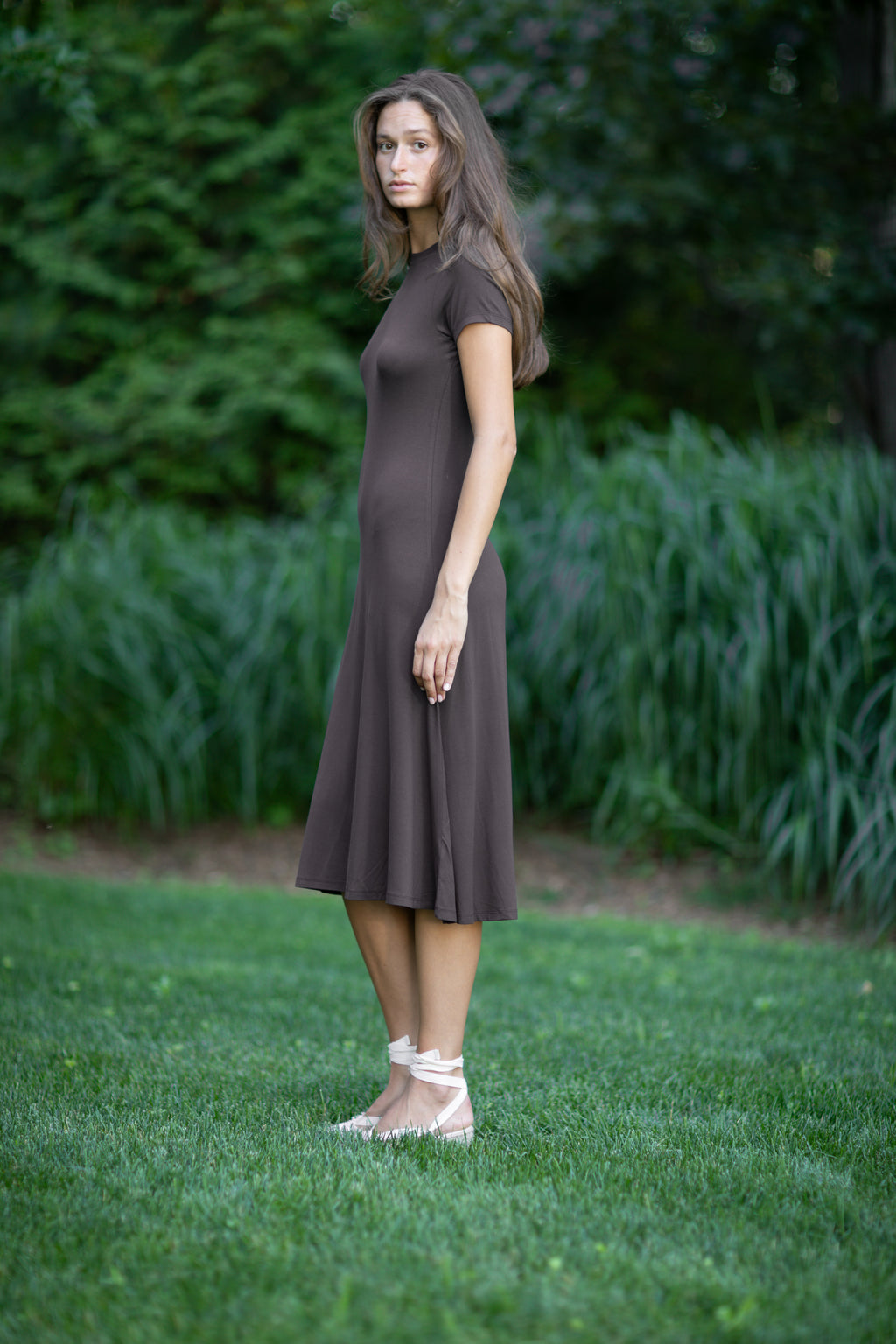 Allure Dress Solid Brown
