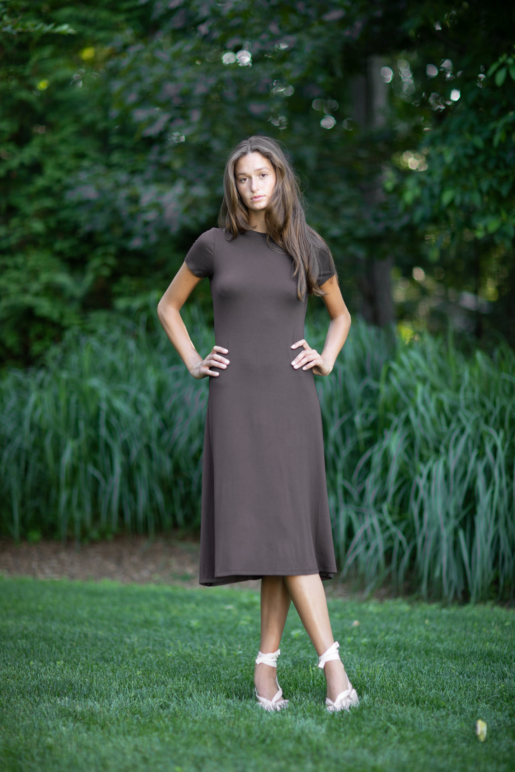 Allure Dress Solid Brown