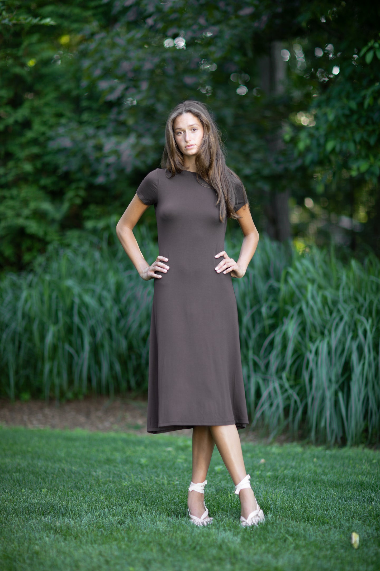 Allure Dress Solid Brown
